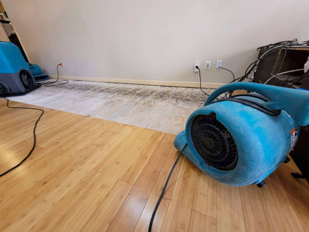 Professional Sewage Cleanup technician working in Proctor, AR